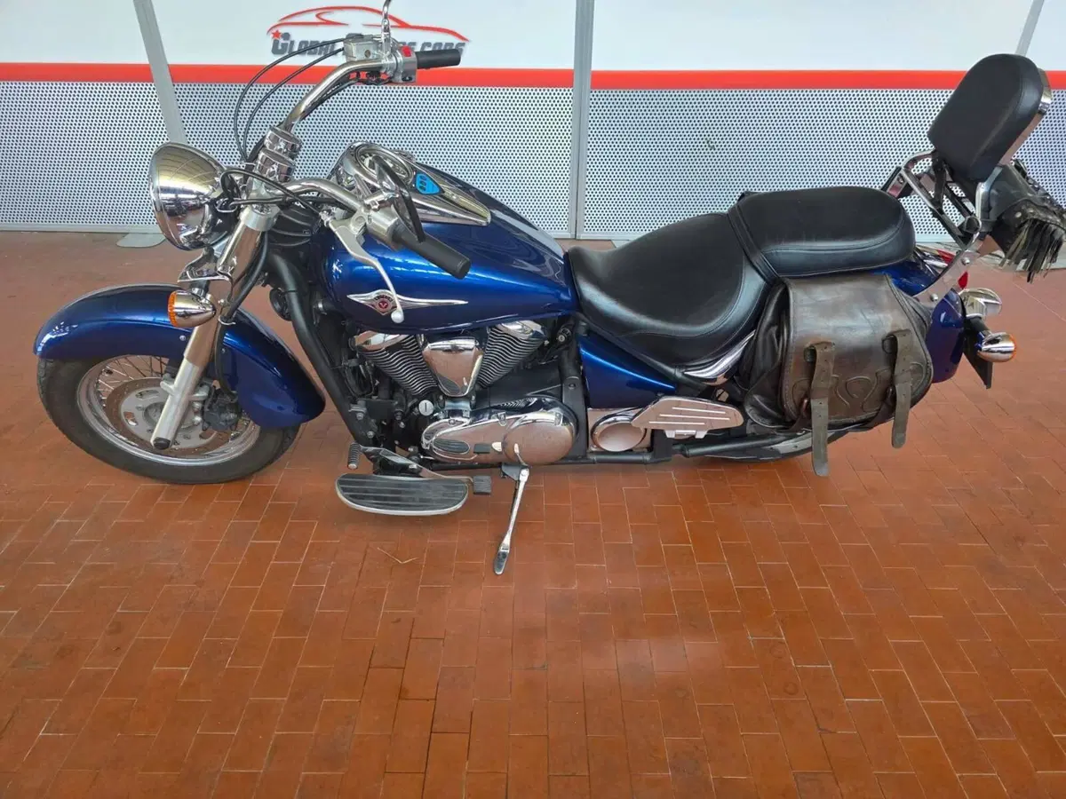 Kawasaki Vulcan VN 900 Classic (2006 - 10) (20)