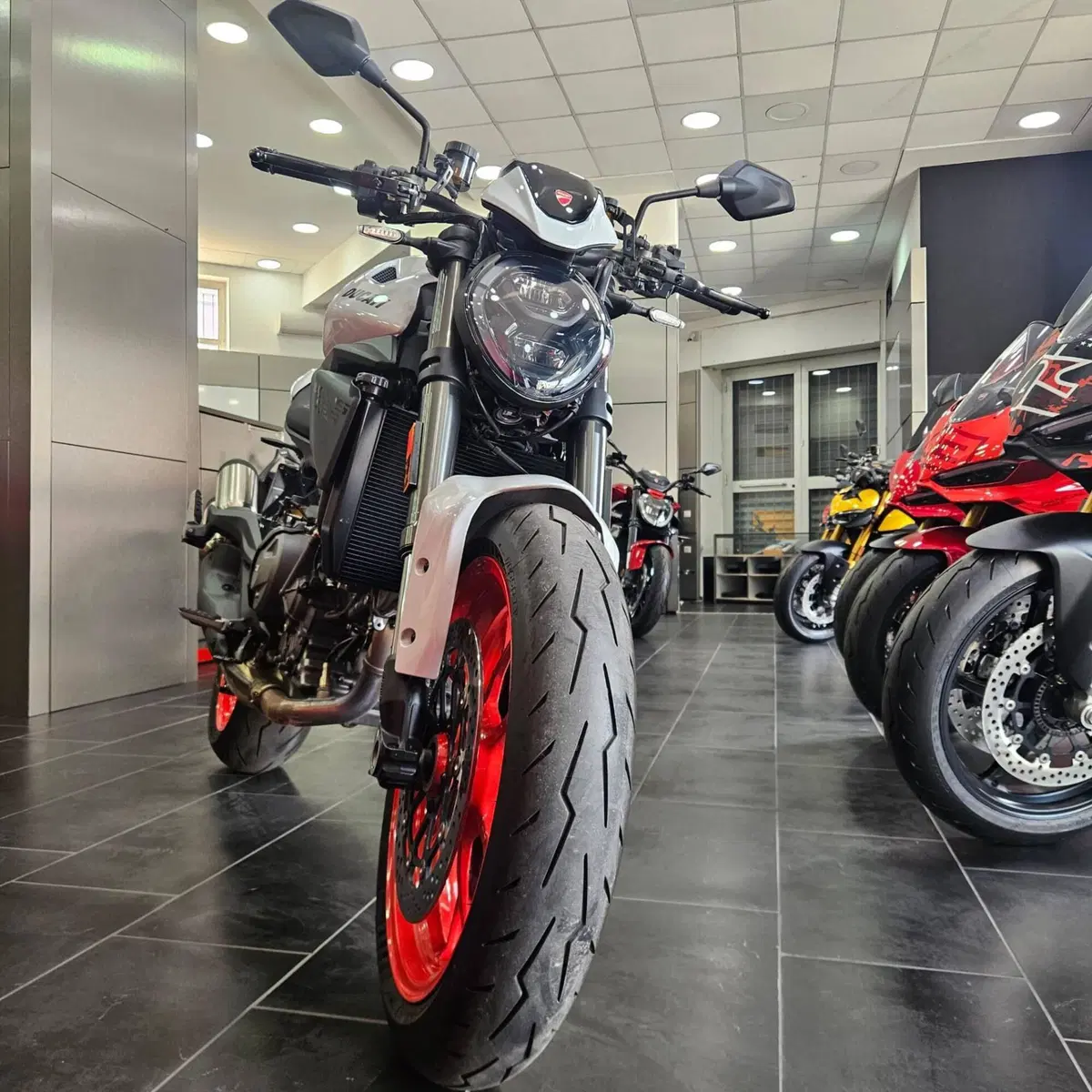 Ducati Monster 890 + (2026) (6)