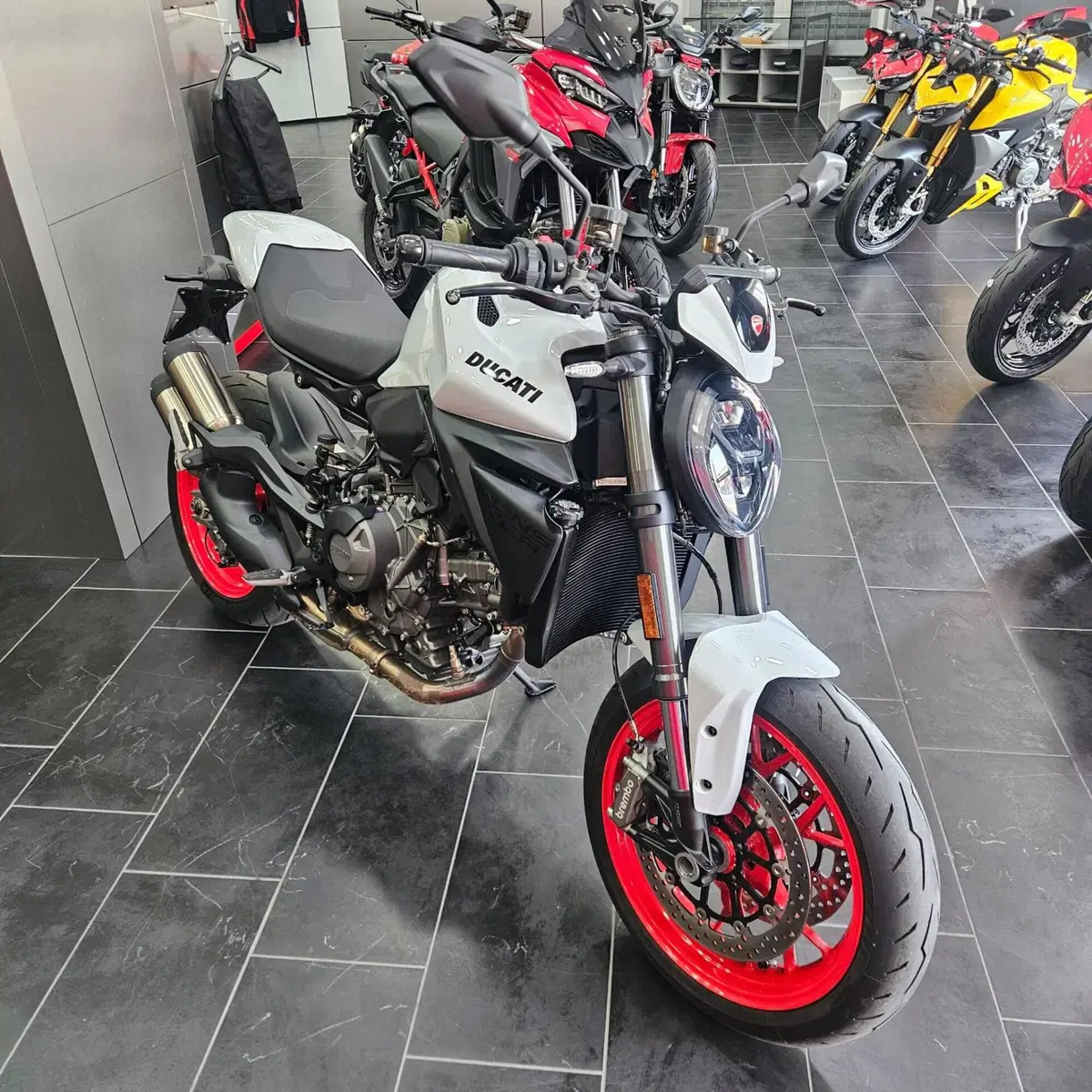 Ducati Monster 890 + (2026) (7)