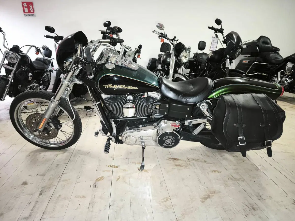 Harley-Davidson 1584 Wide Glide (2007 - 11) - FXDWG (2)
