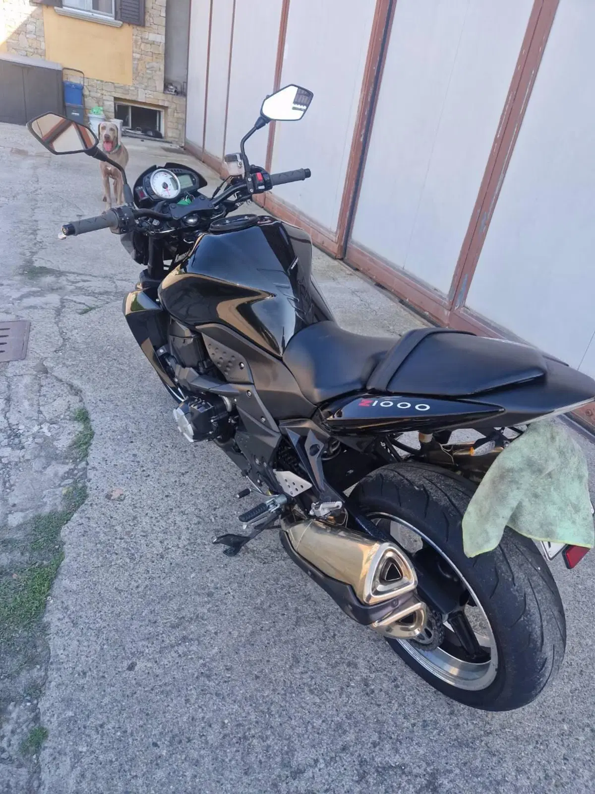 Kawasaki Z 1000 (2007 - 09) (4)
