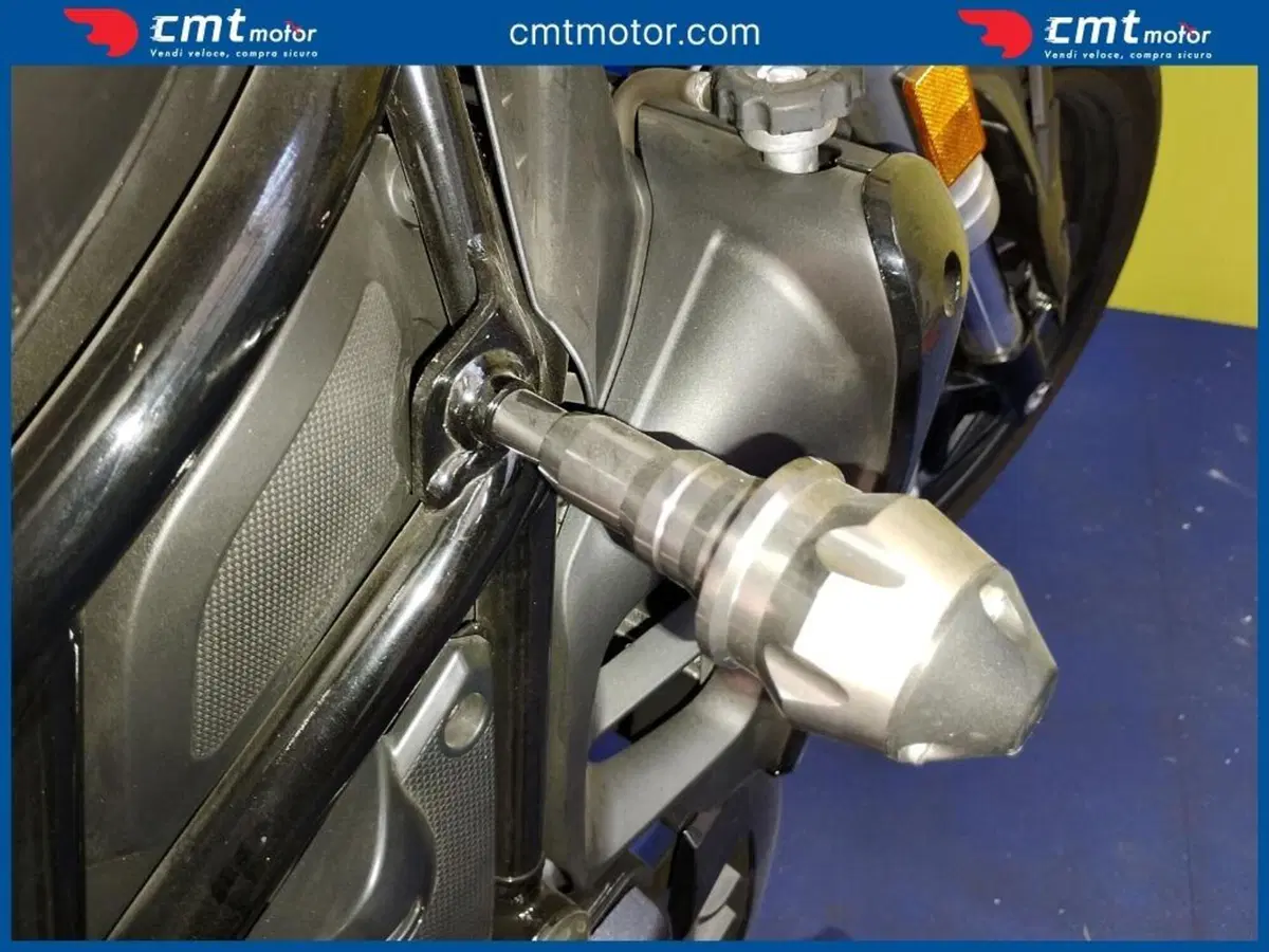 Benelli 502 C (2019 - 20) (6)