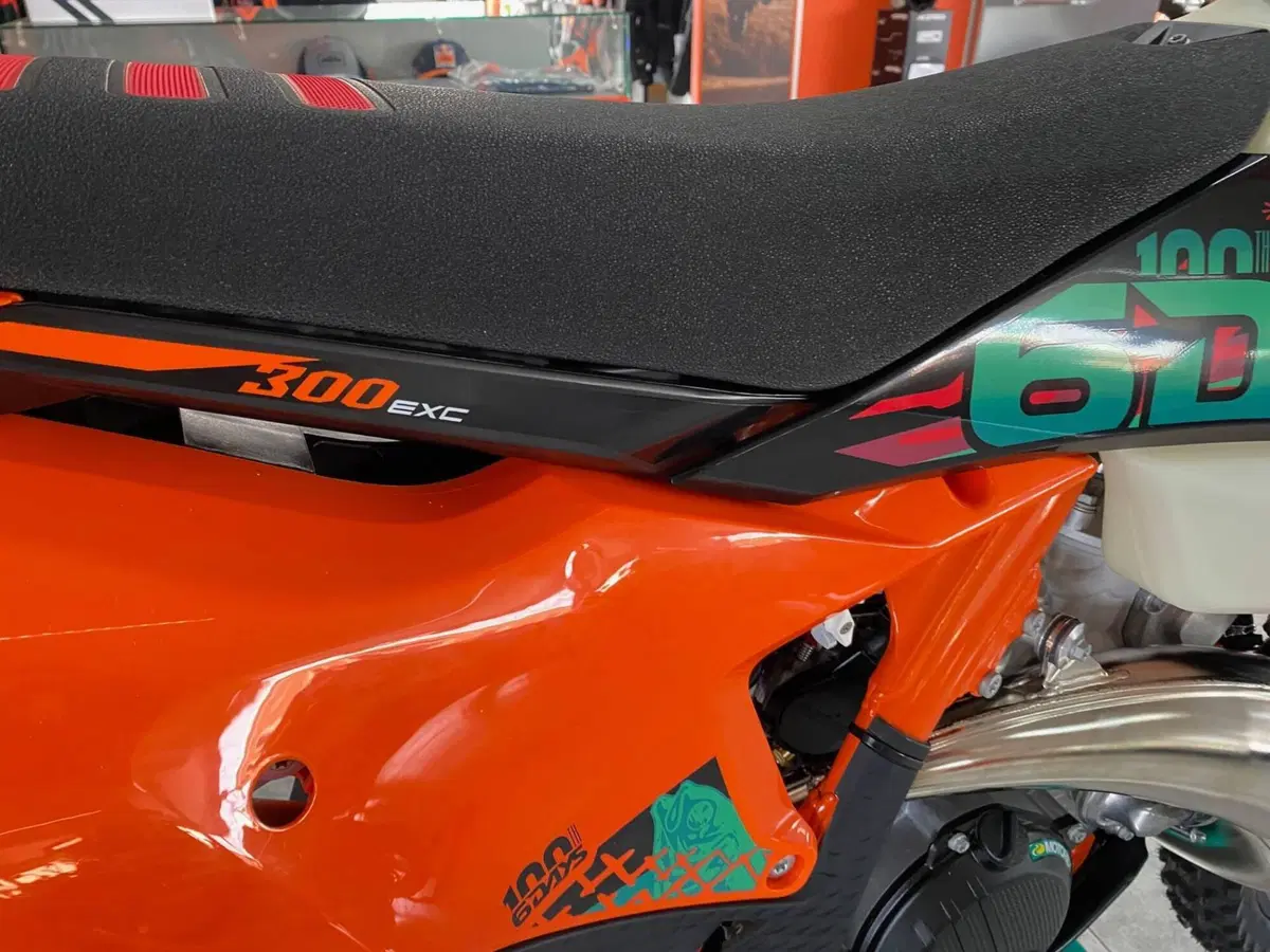 KTM 300 EXC 6Days (2027) (3)