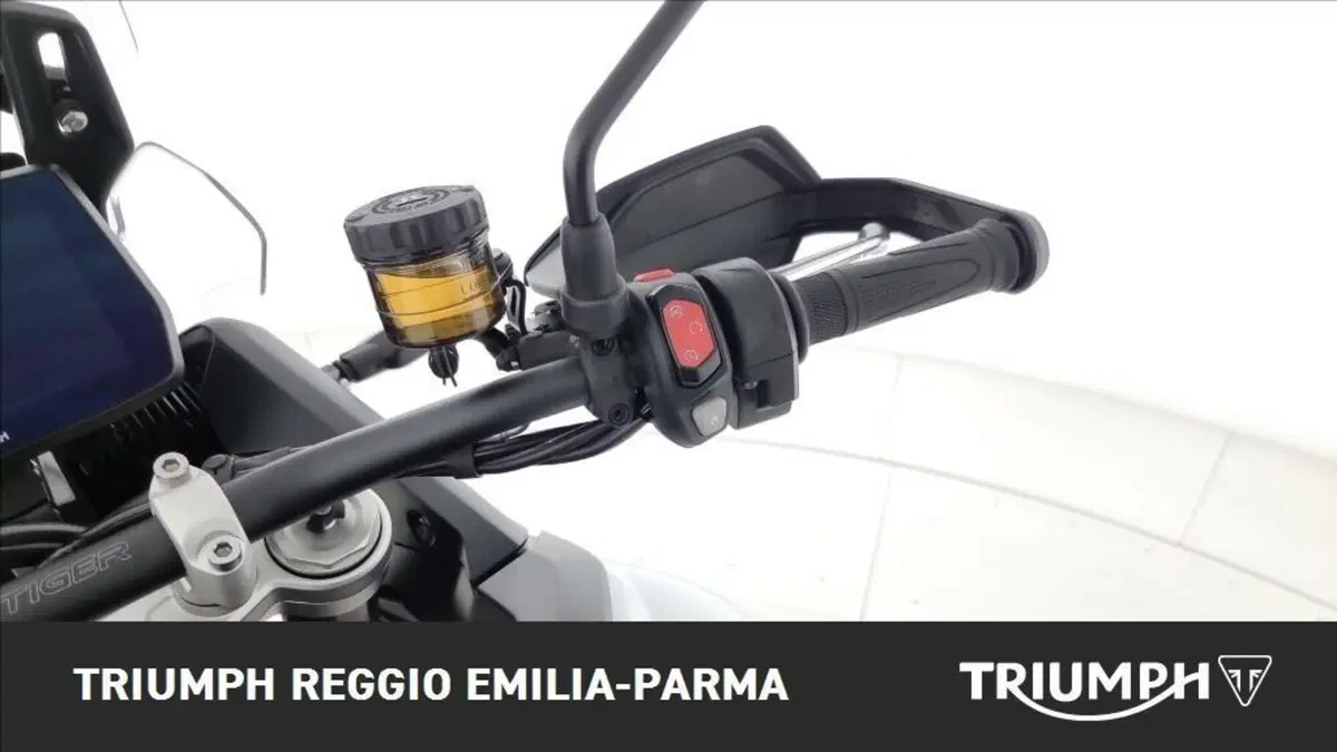 Triumph Tiger 900 Alpine Special Edition (2026) (10)
