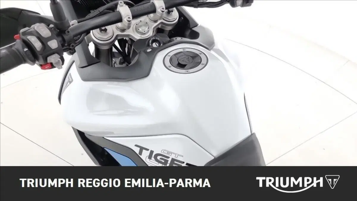Triumph Tiger 900 Alpine Special Edition (2026) (12)
