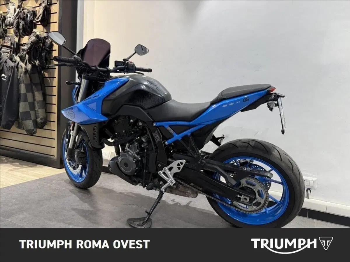 Suzuki GSX-8S (2023 - 24) (4)