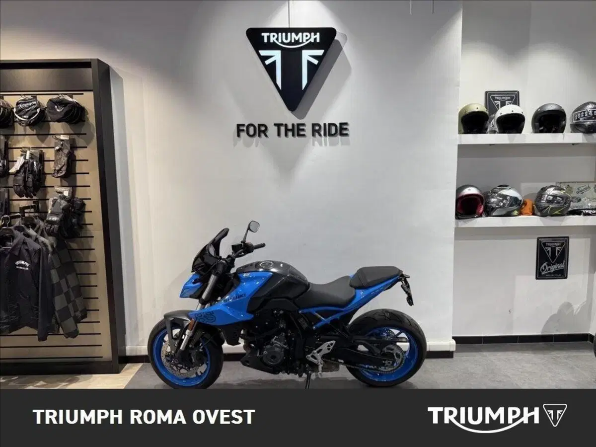 Suzuki GSX-8S (2023 - 24)