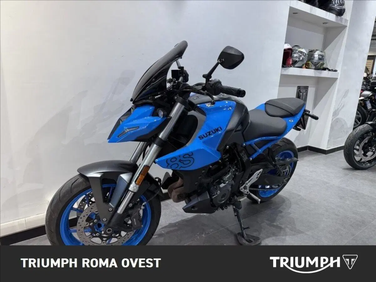 Suzuki GSX-8S (2023 - 24) (5)