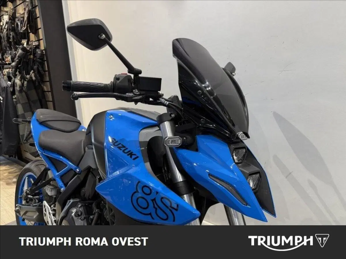 Suzuki GSX-8S (2023 - 24) (13)