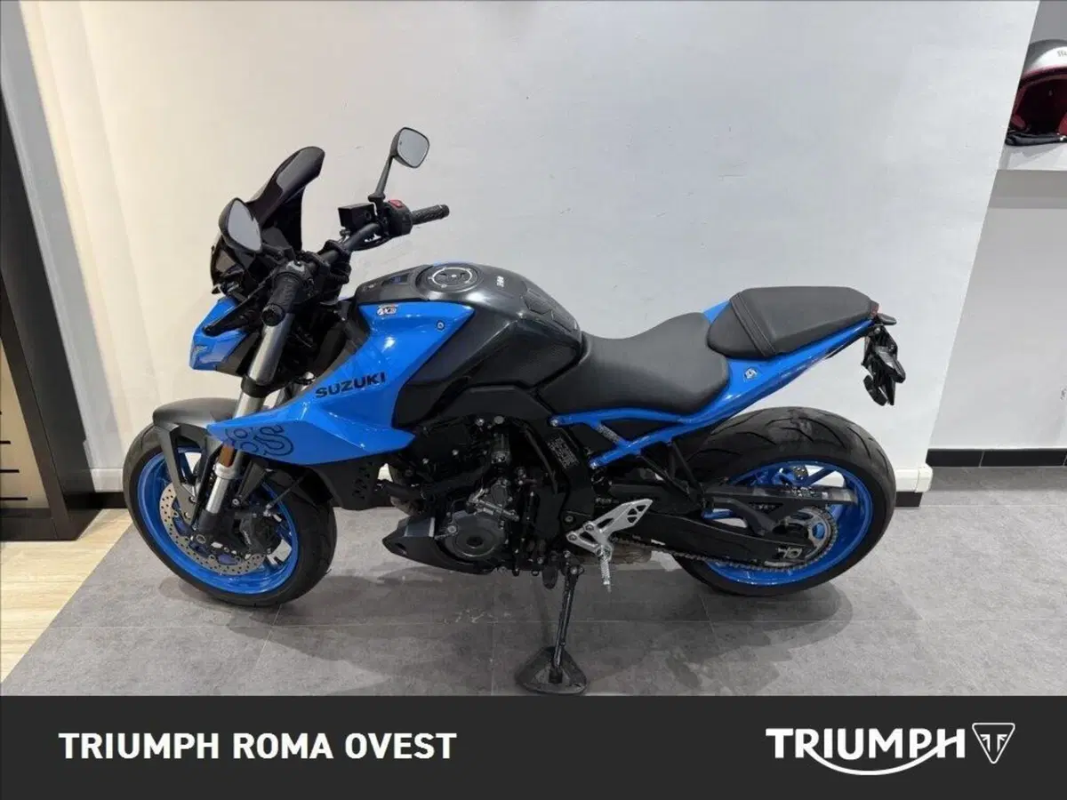 Suzuki GSX-8S (2023 - 24) (2)