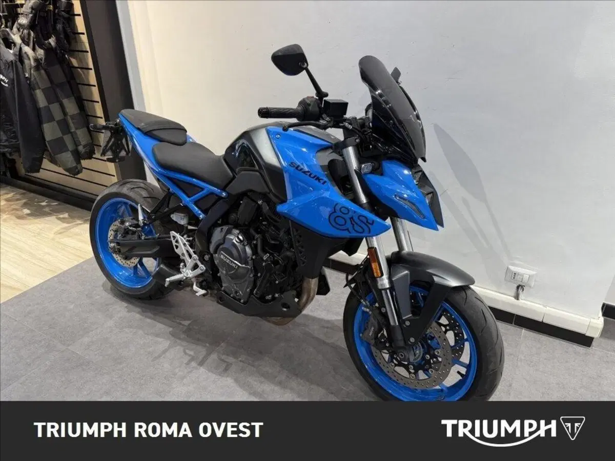 Suzuki GSX-8S (2023 - 24) (8)