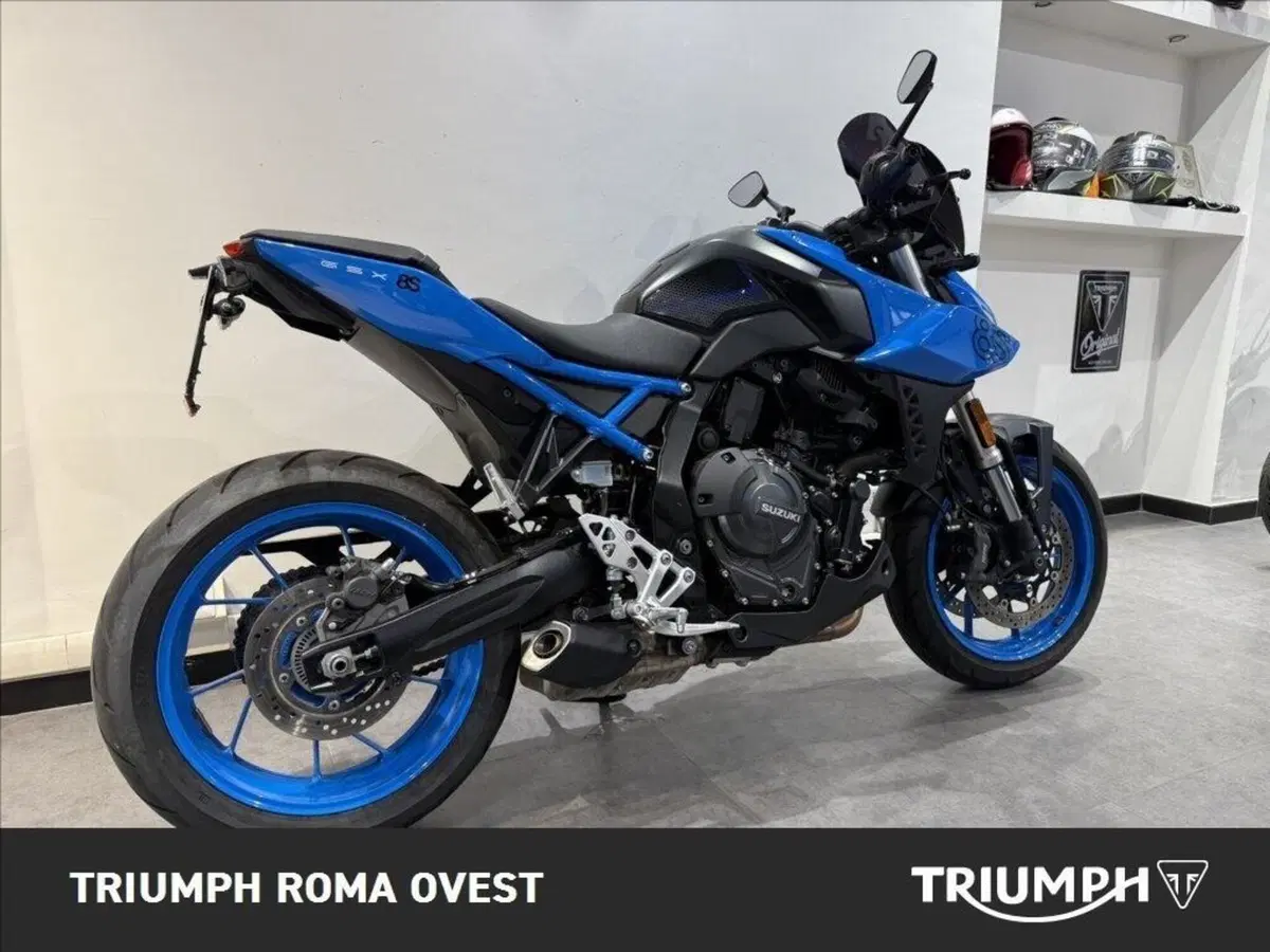 Suzuki GSX-8S (2023 - 24) (11)