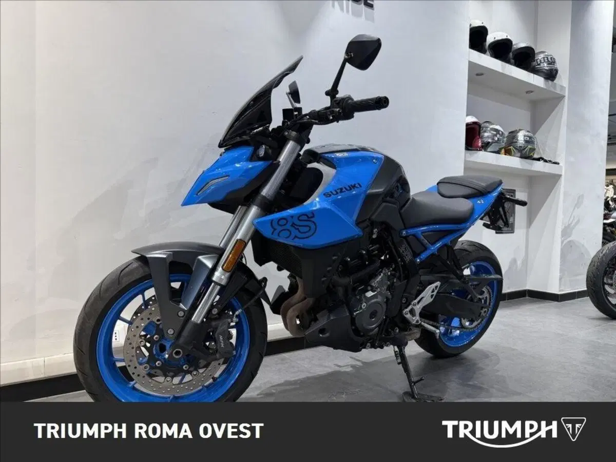 Suzuki GSX-8S (2023 - 24) (6)