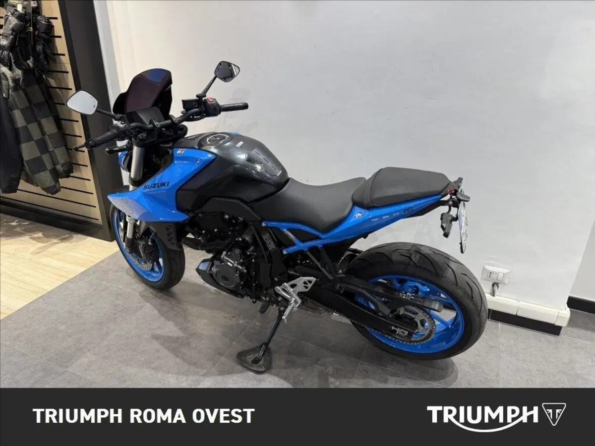 Suzuki GSX-8S (2023 - 24) (3)