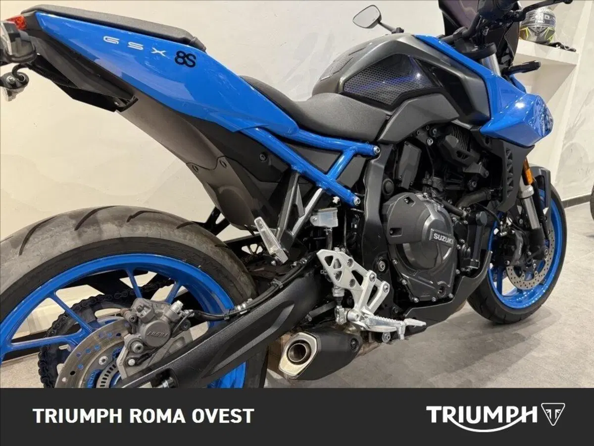 Suzuki GSX-8S (2023 - 24) (16)