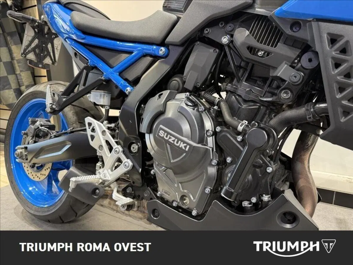 Suzuki GSX-8S (2023 - 24) (15)