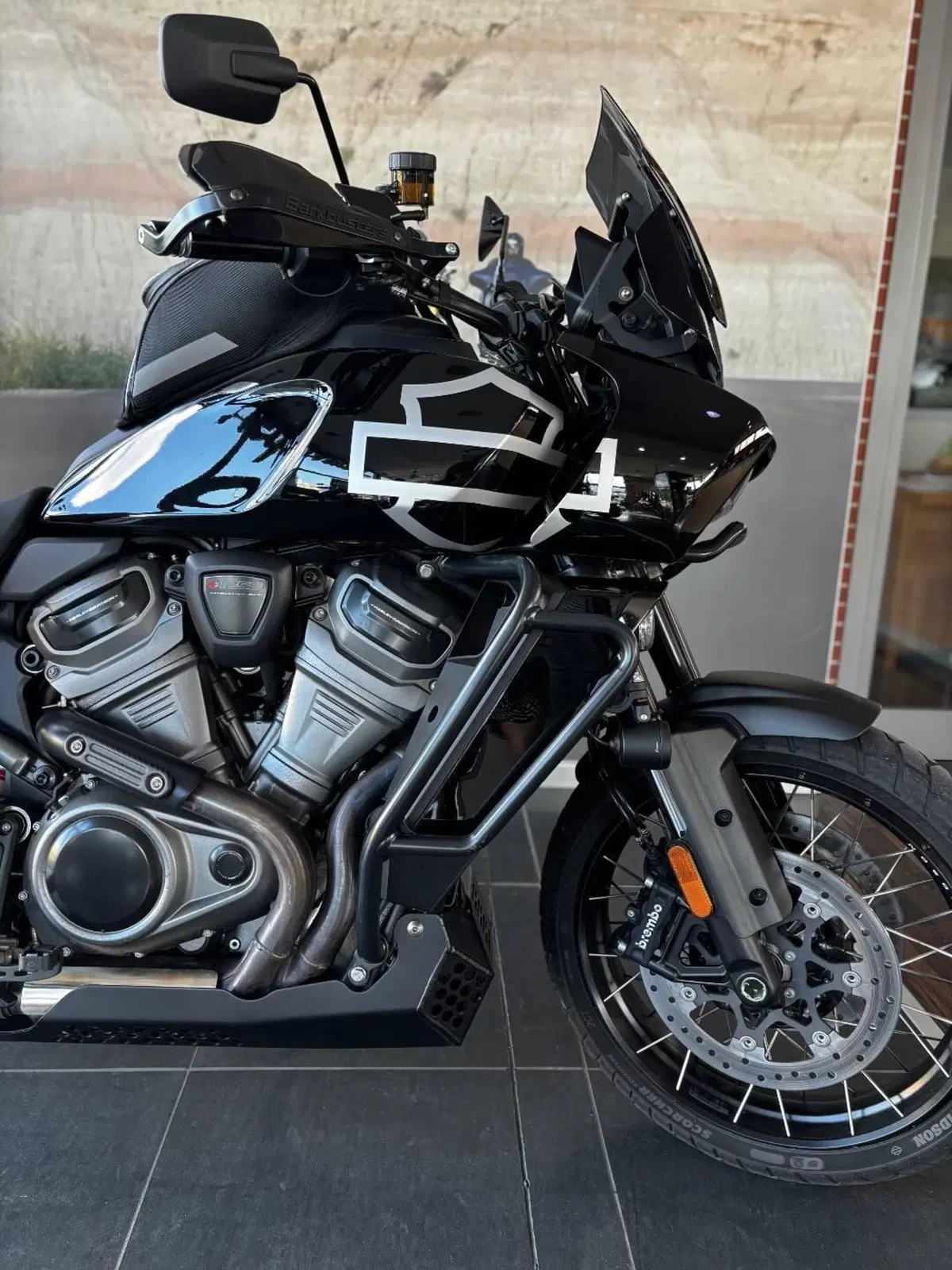 Harley-Davidson Pan America 1250 Special (2020 - 25) (3)