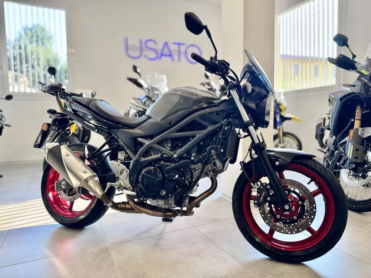 Suzuki SV650 (2021 - 24)