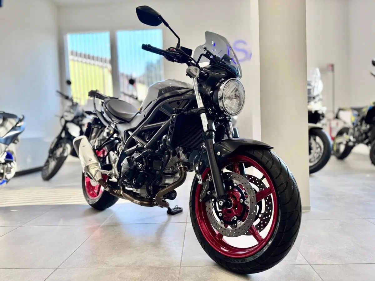 Suzuki SV650 (2021 - 24) (2)