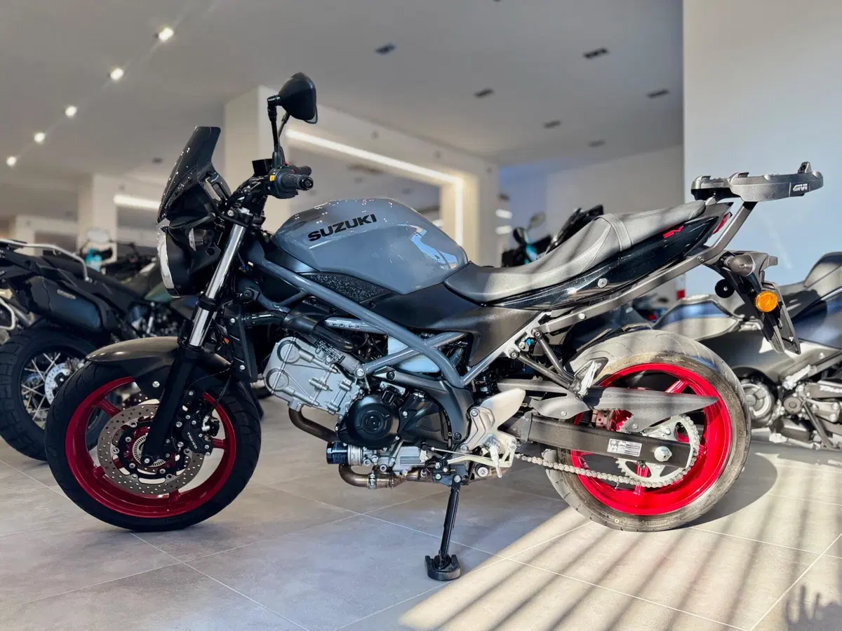 Suzuki SV650 (2021 - 24) (3)