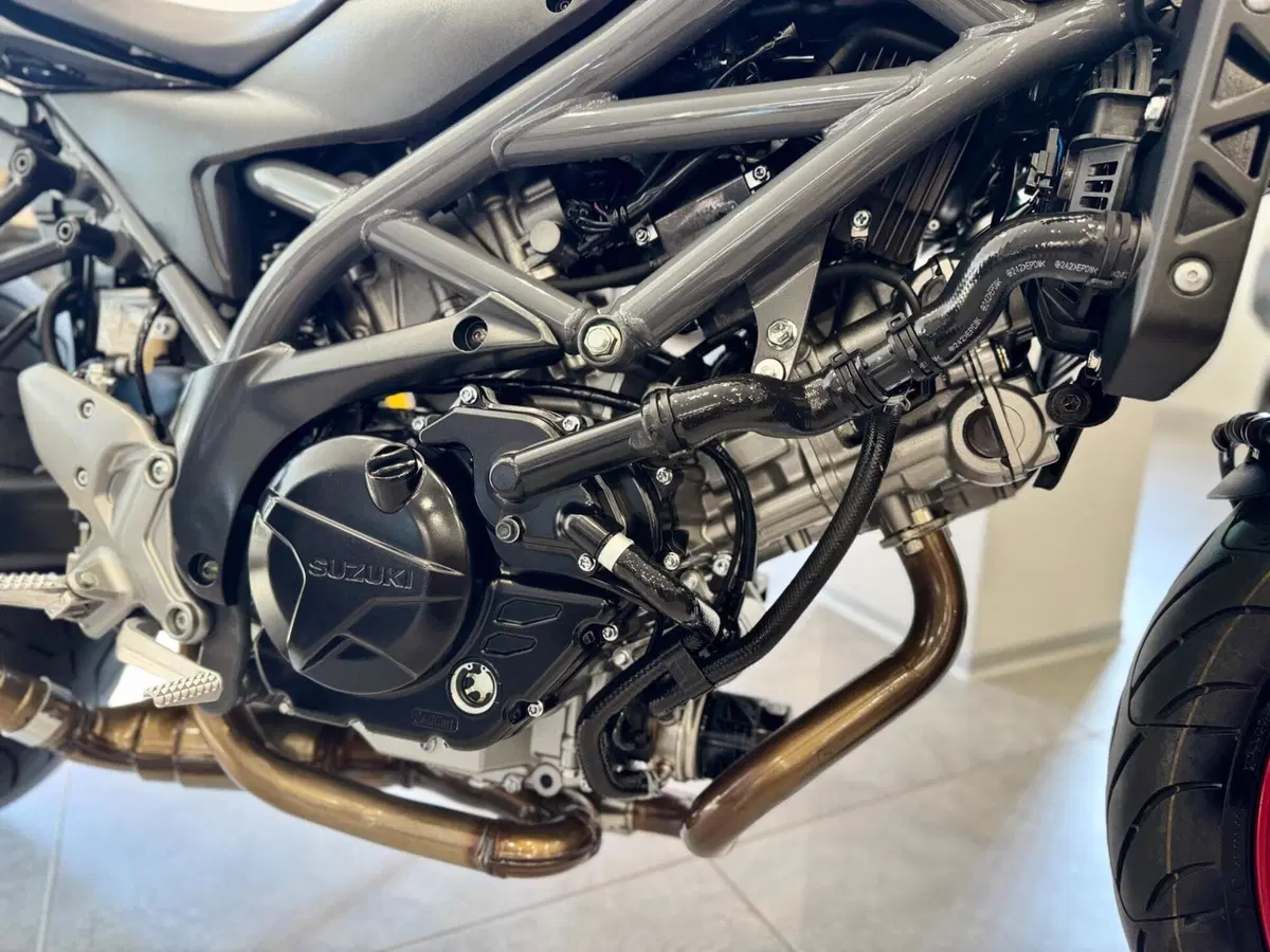 Suzuki SV650 (2021 - 24) (10)