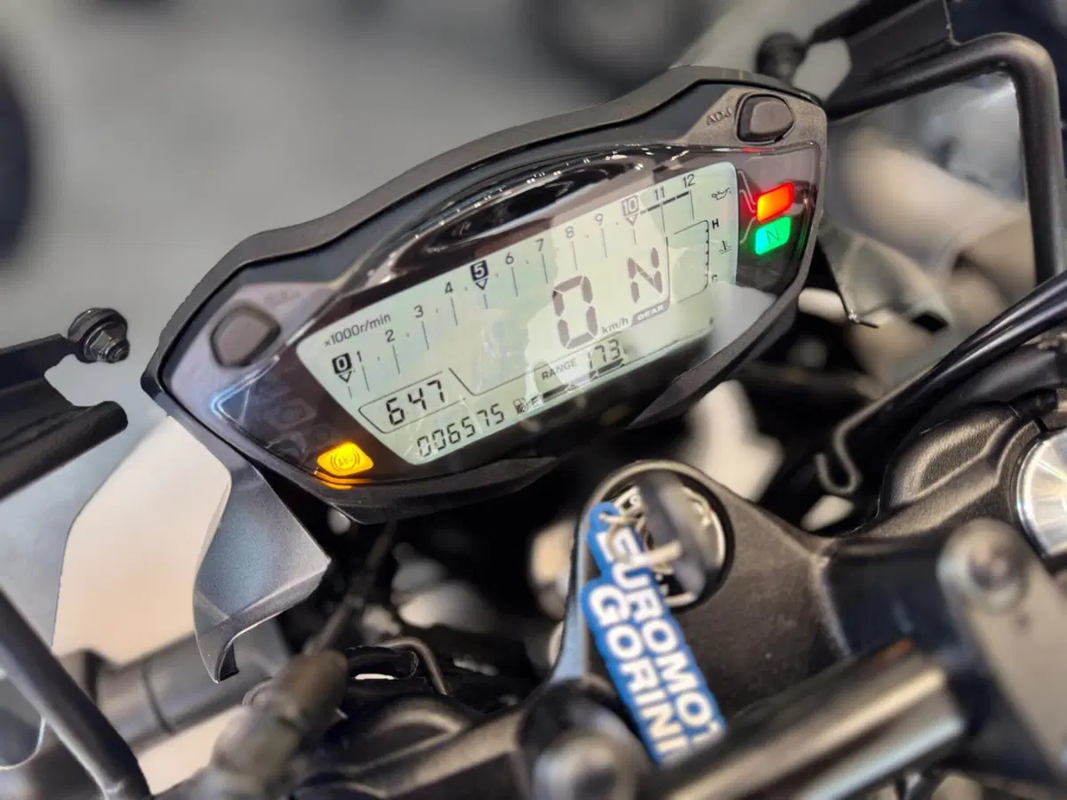 Suzuki SV650 (2021 - 24) (11)