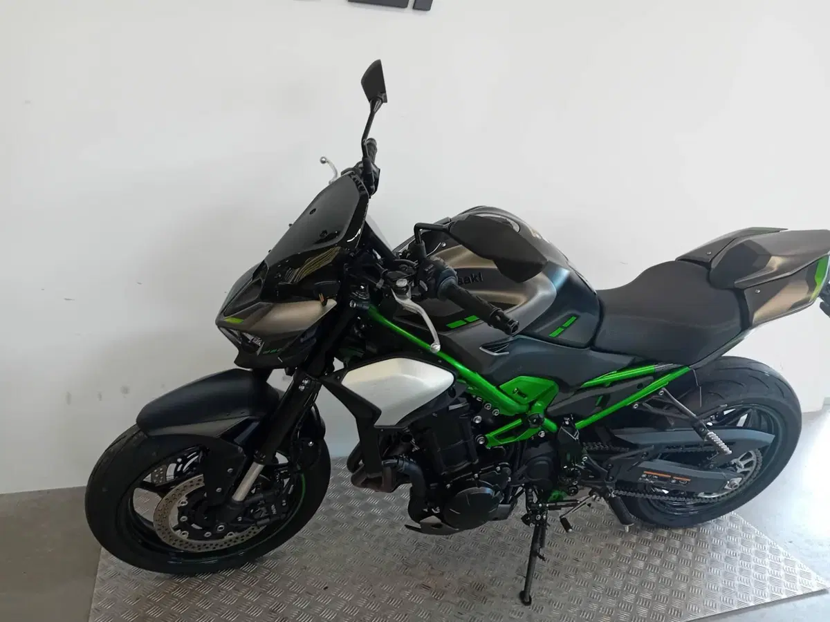 Kawasaki Z 900 Performance (2025 - 26) (4)