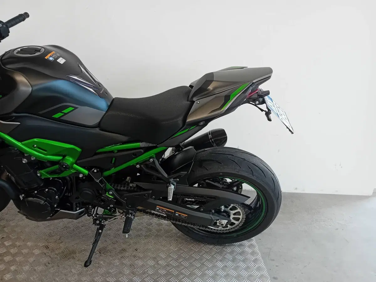 Kawasaki Z 900 Performance (2025 - 26) (5)