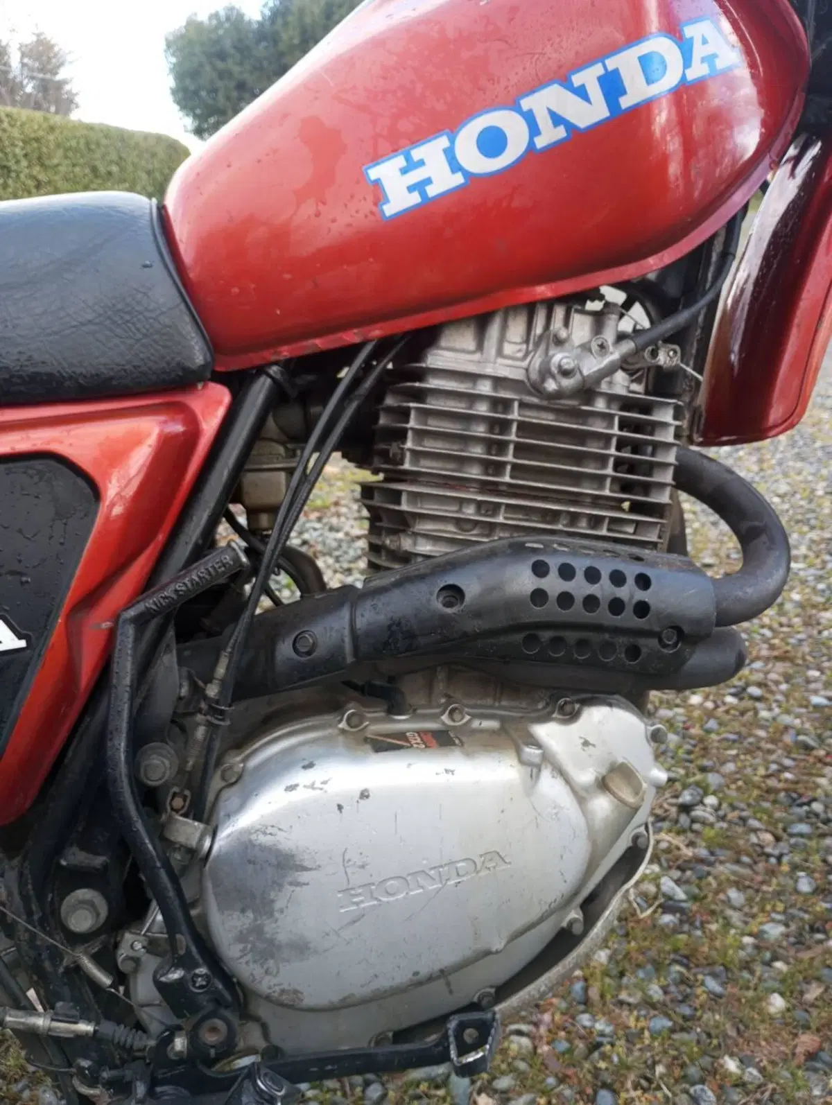 Honda XL 500 (3)