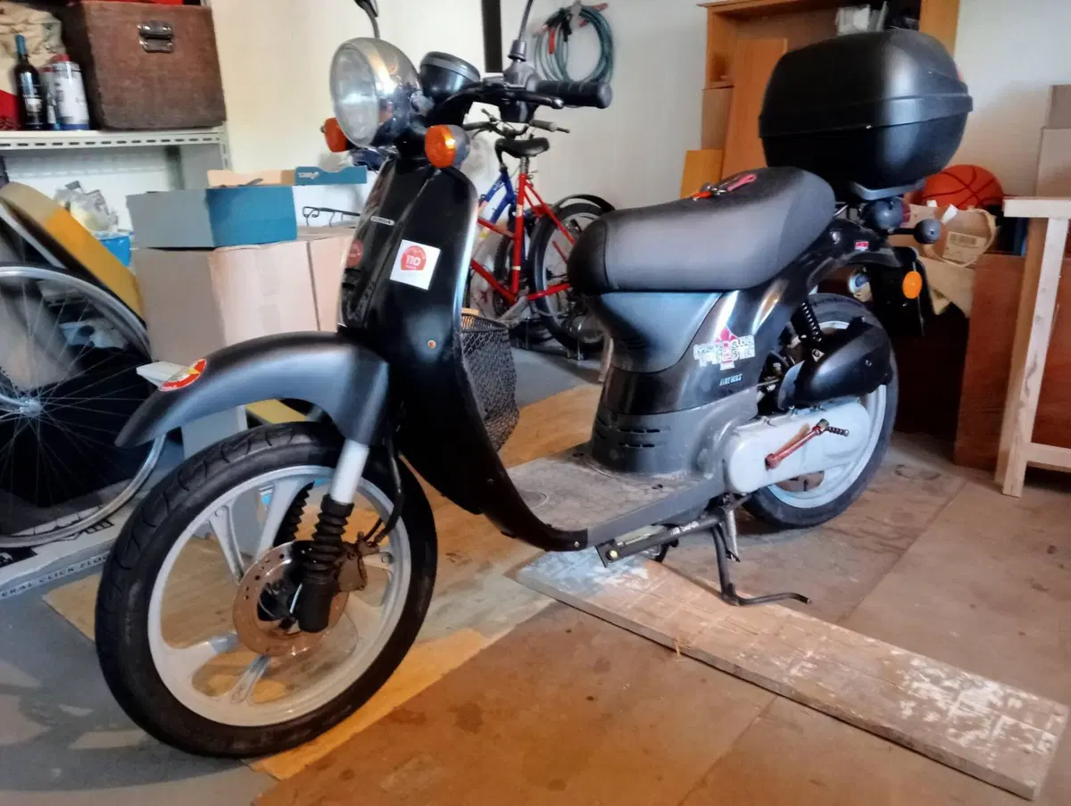 Honda Sky 50 (1997 - 04)