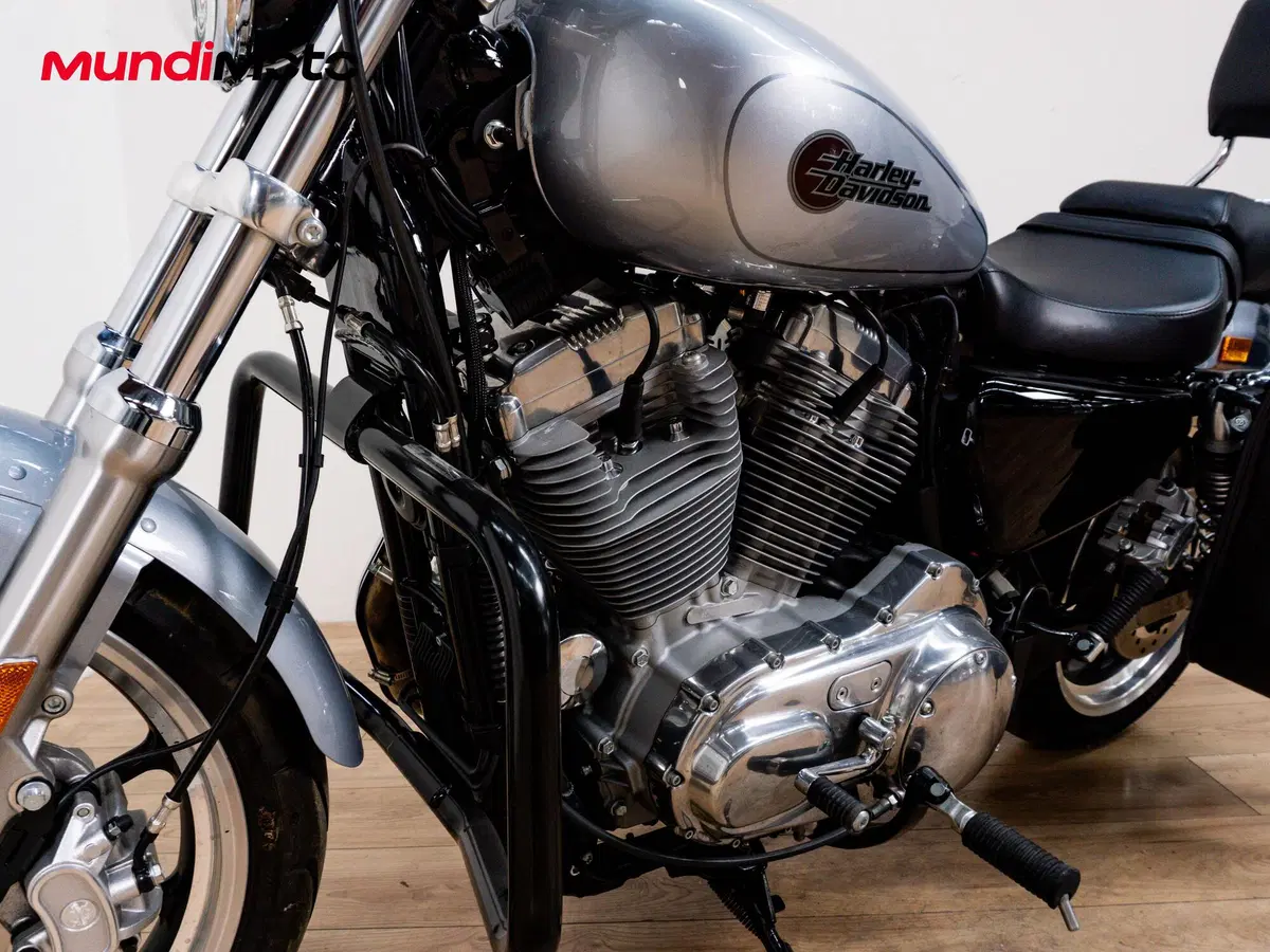 Harley-Davidson 883 Standard (2001 - 05) - XL 883 (9)