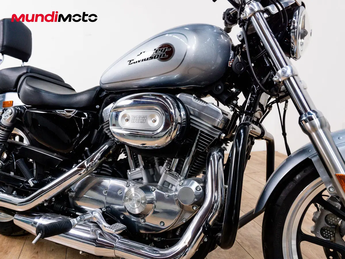 Harley-Davidson 883 Standard (2001 - 05) - XL 883 (5)