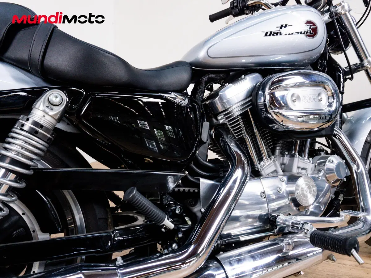 Harley-Davidson 883 Standard (2001 - 05) - XL 883 (4)
