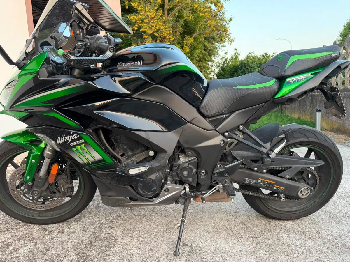 Kawasaki Ninja 1000 SX (2021 - 24) (3)