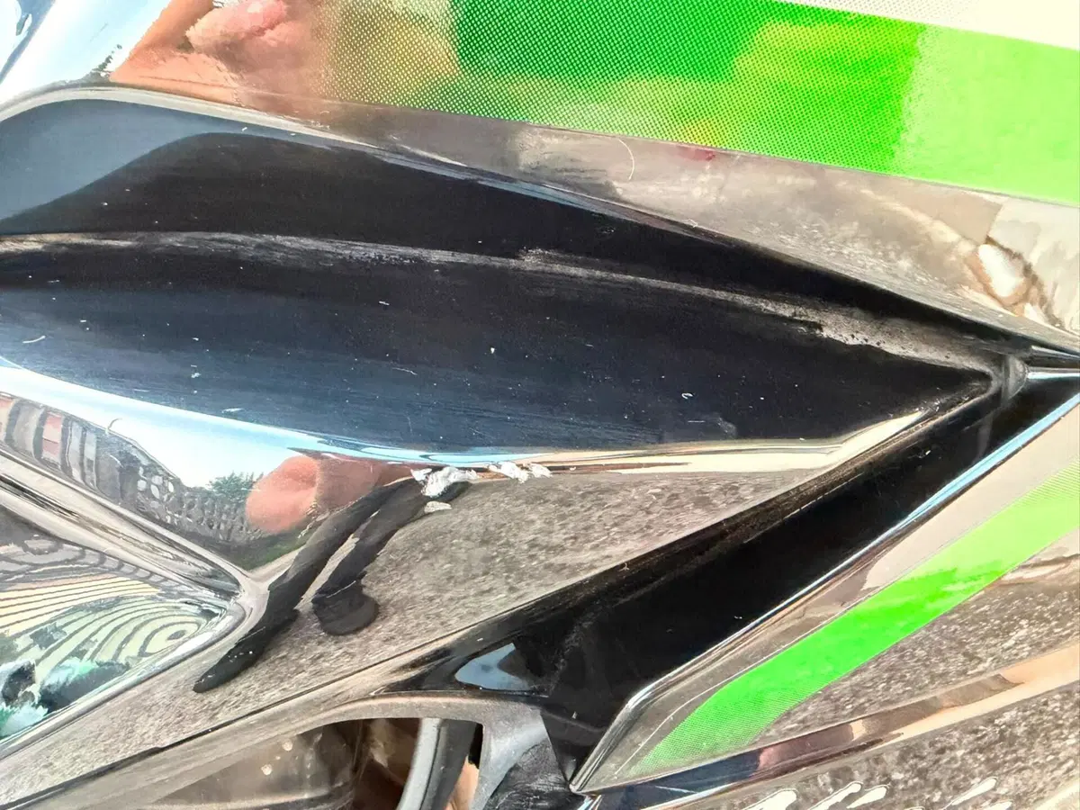 Kawasaki Ninja 1000 SX (2021 - 24) (7)