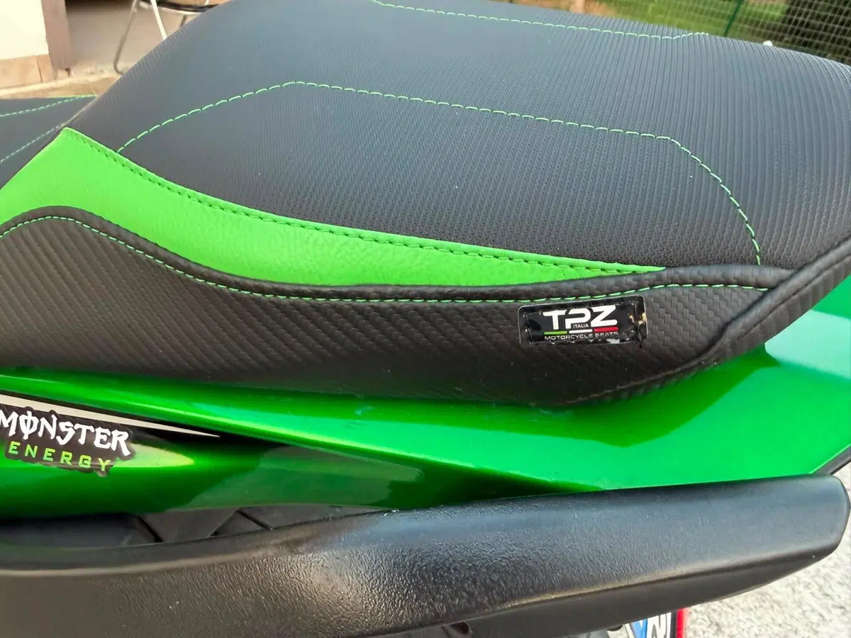Kawasaki Ninja 1000 SX (2021 - 24) (10)