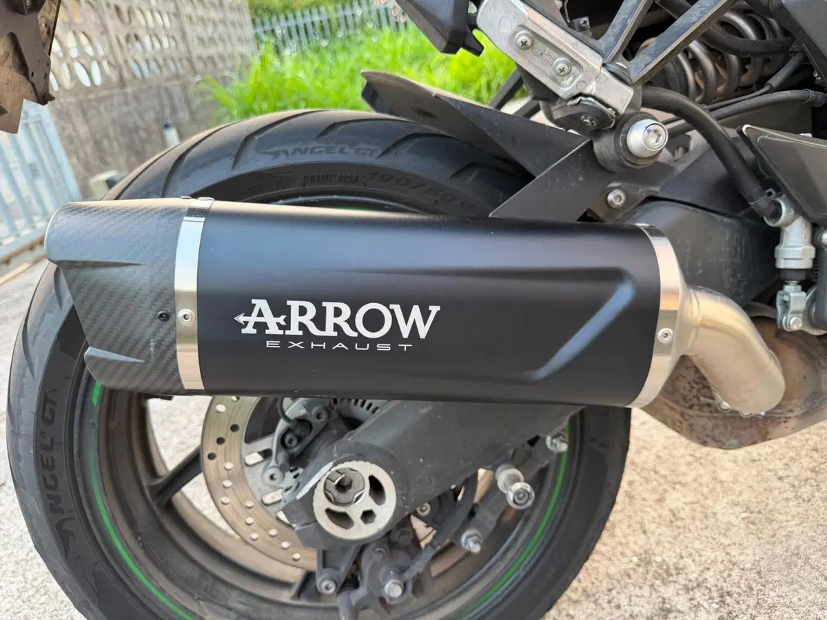 Kawasaki Ninja 1000 SX (2021 - 24) (11)