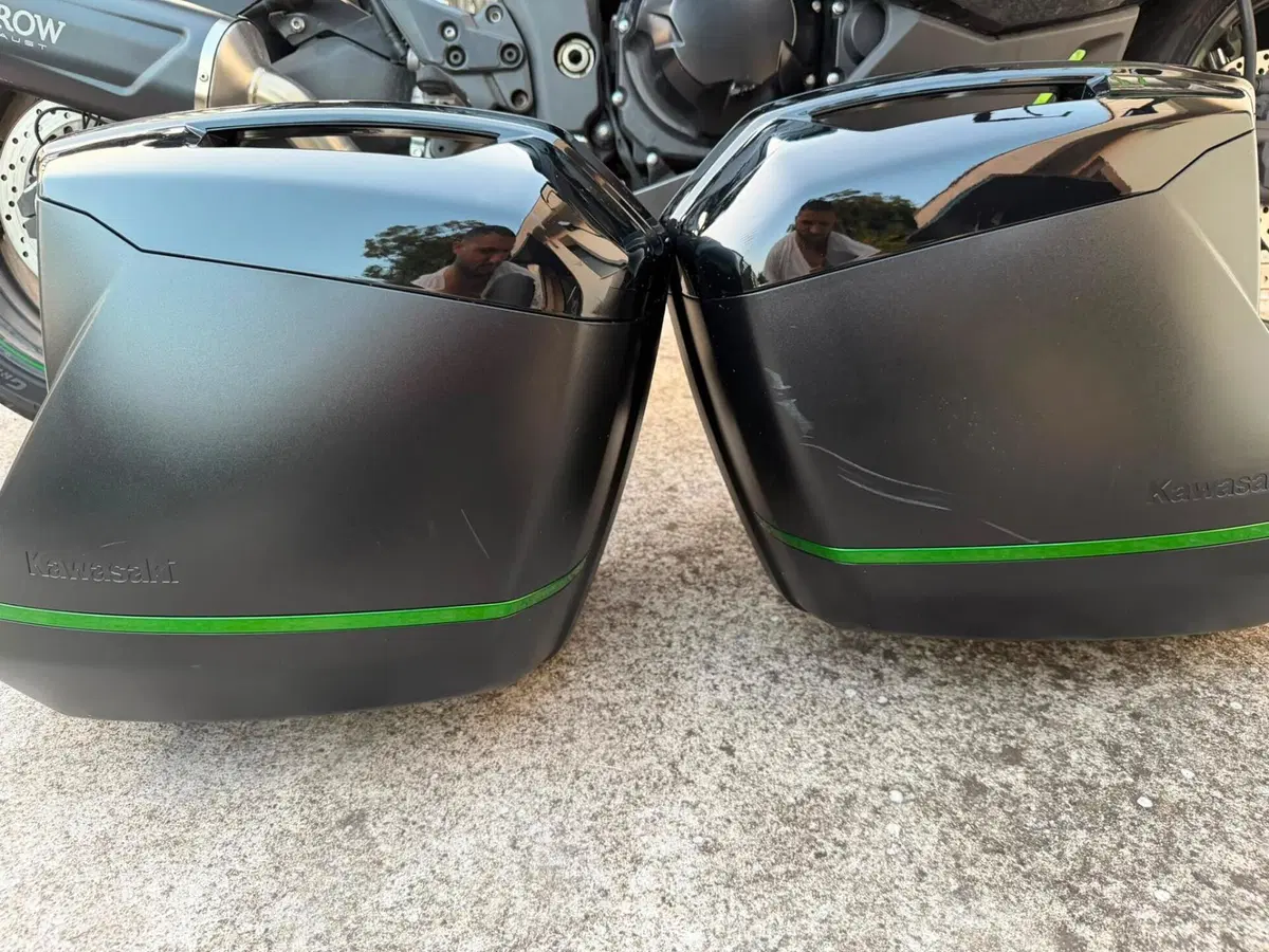 Kawasaki Ninja 1000 SX (2021 - 24) (12)