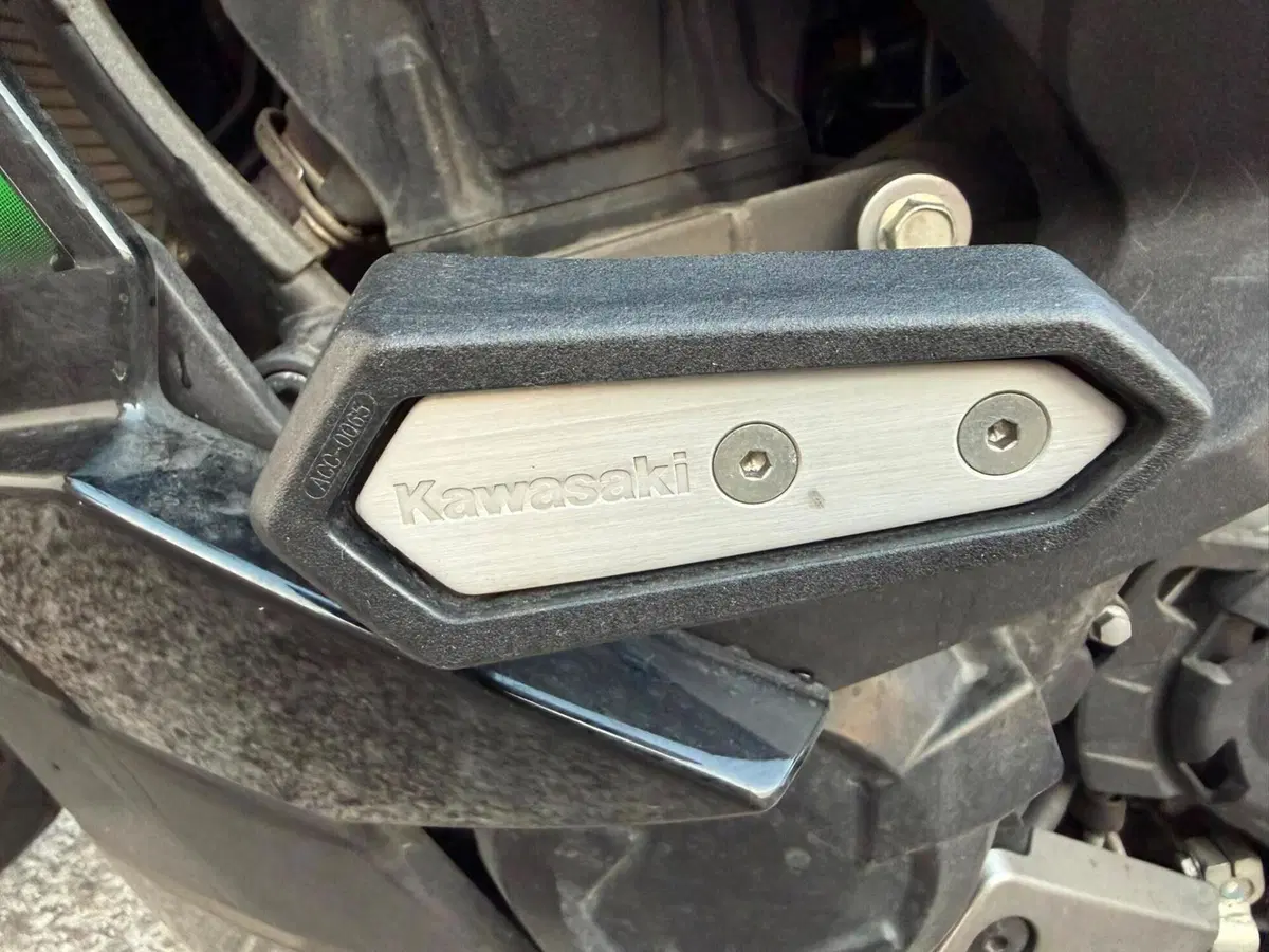 Kawasaki Ninja 1000 SX (2021 - 24) (14)
