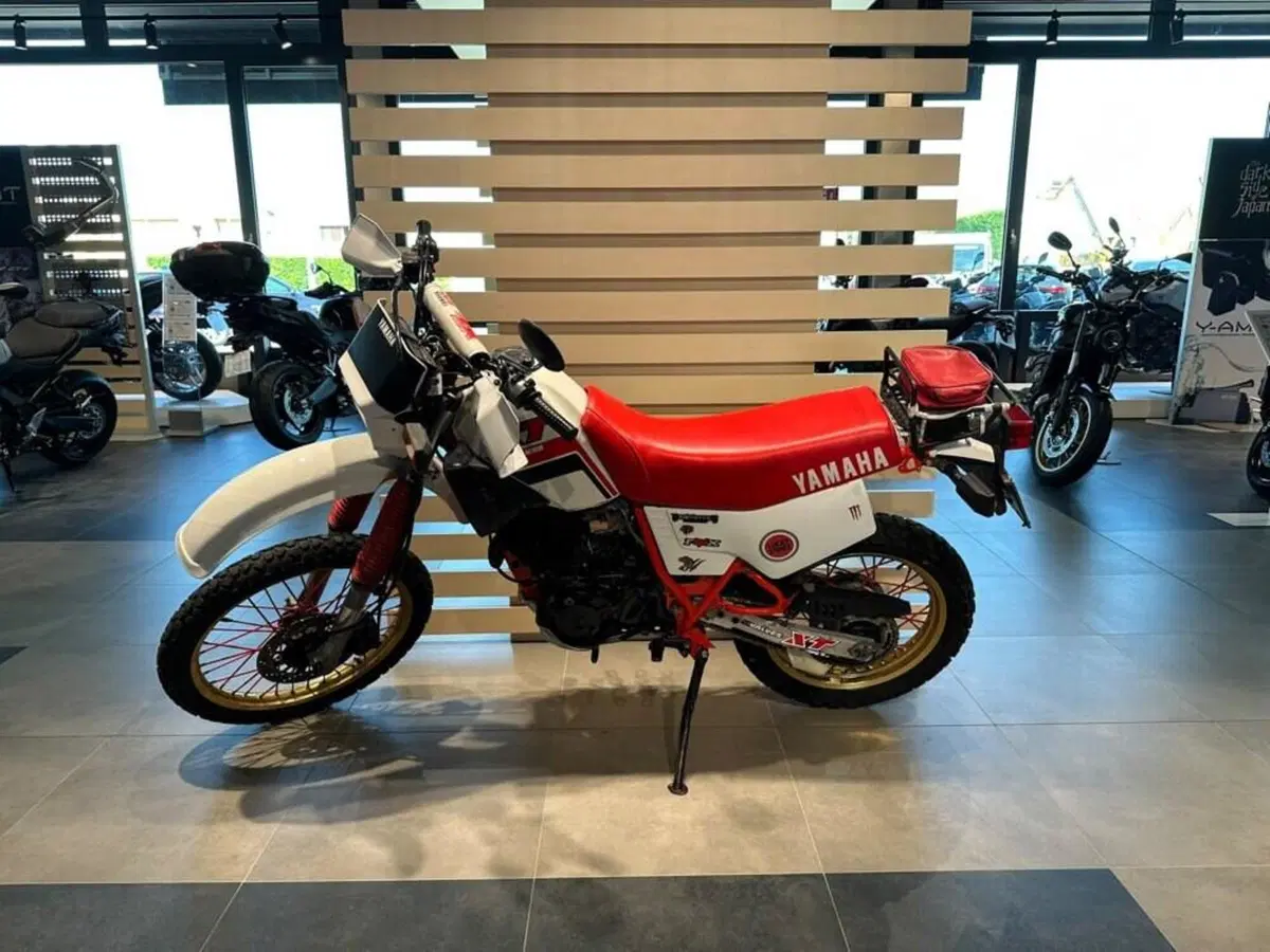 Yamaha XT 600 (1984 - 98) (5)