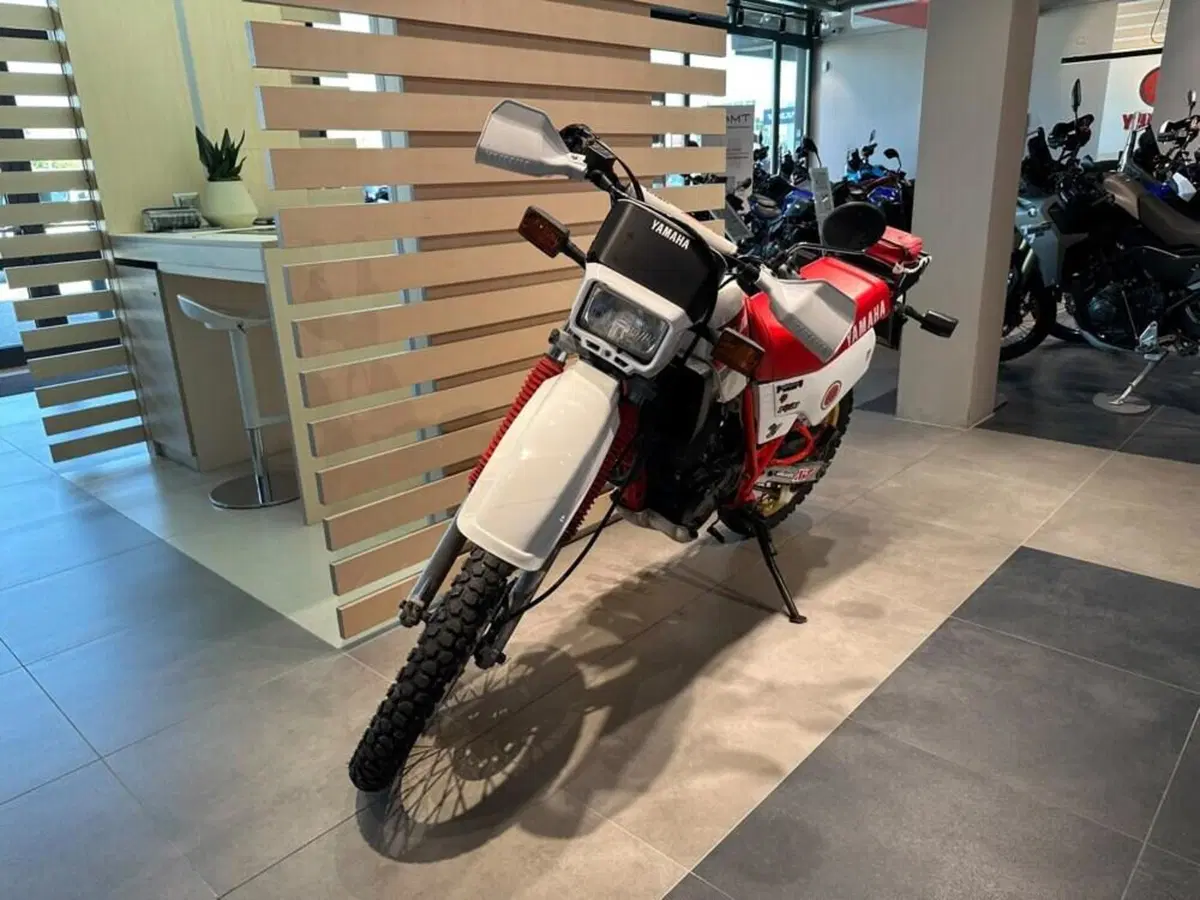Yamaha XT 600 (1984 - 98) (6)