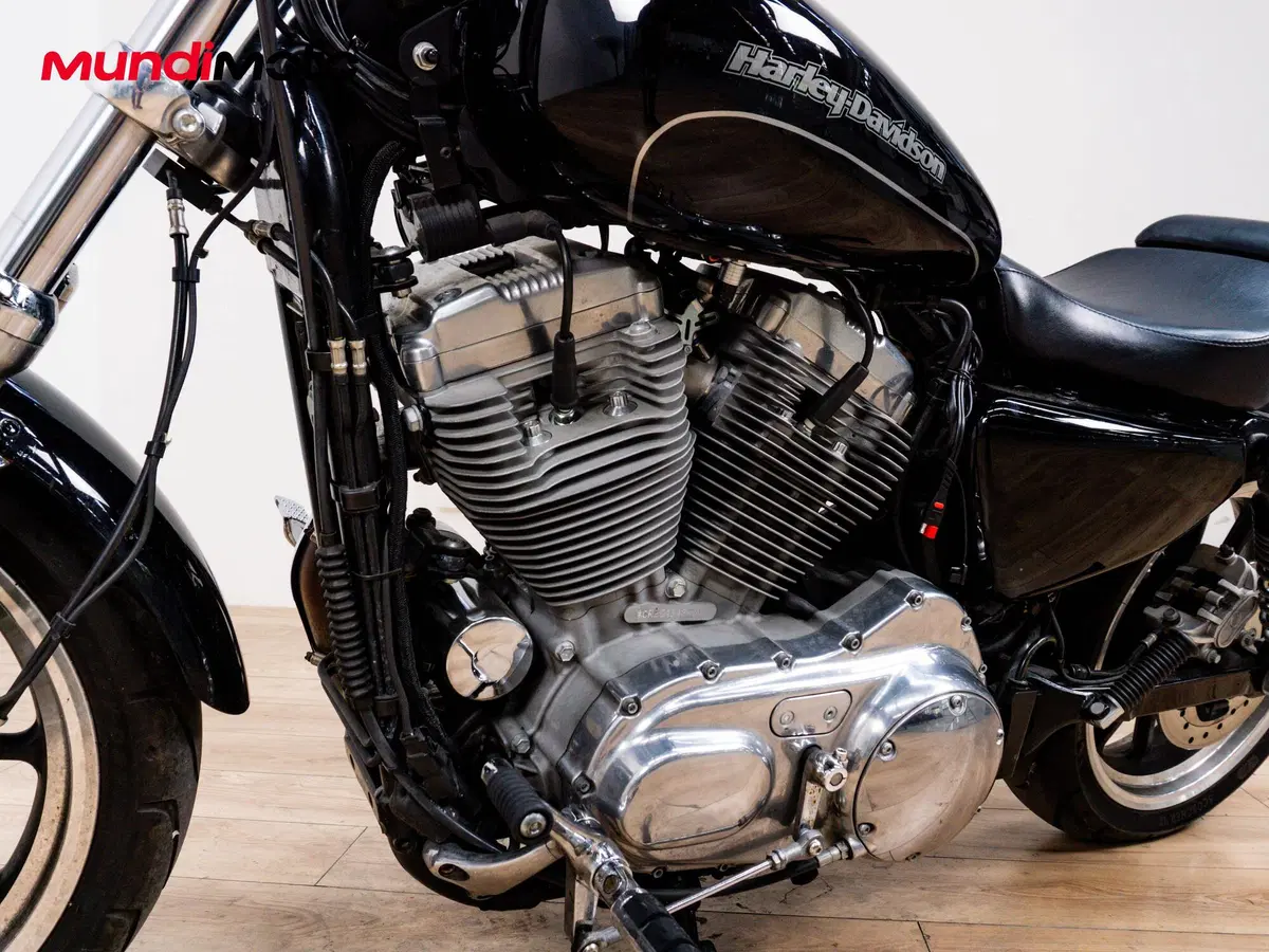 Harley-Davidson 883 Low (2005) - XL 883L (9)