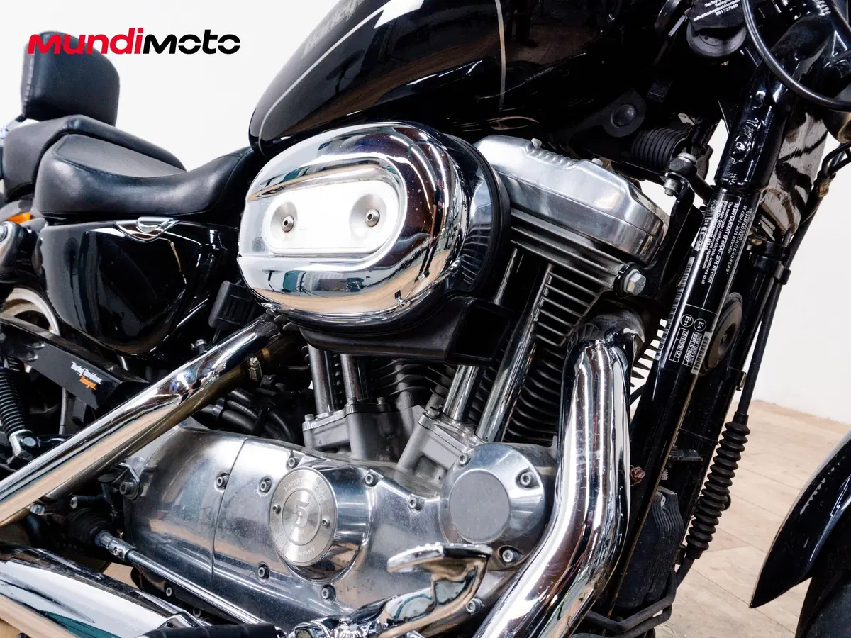 Harley-Davidson 883 Low (2005) - XL 883L (5)