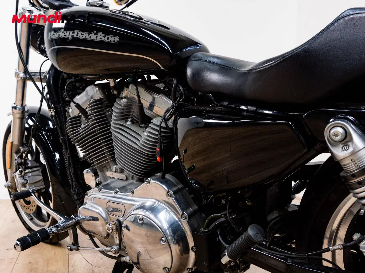 Harley-Davidson 883 Low (2005) - XL 883L (10)