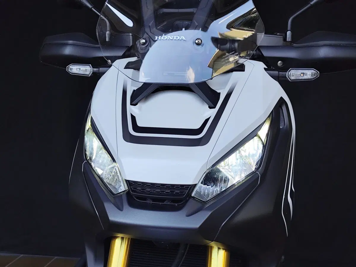 Honda X-ADV 750 (2018 - 20) (11)