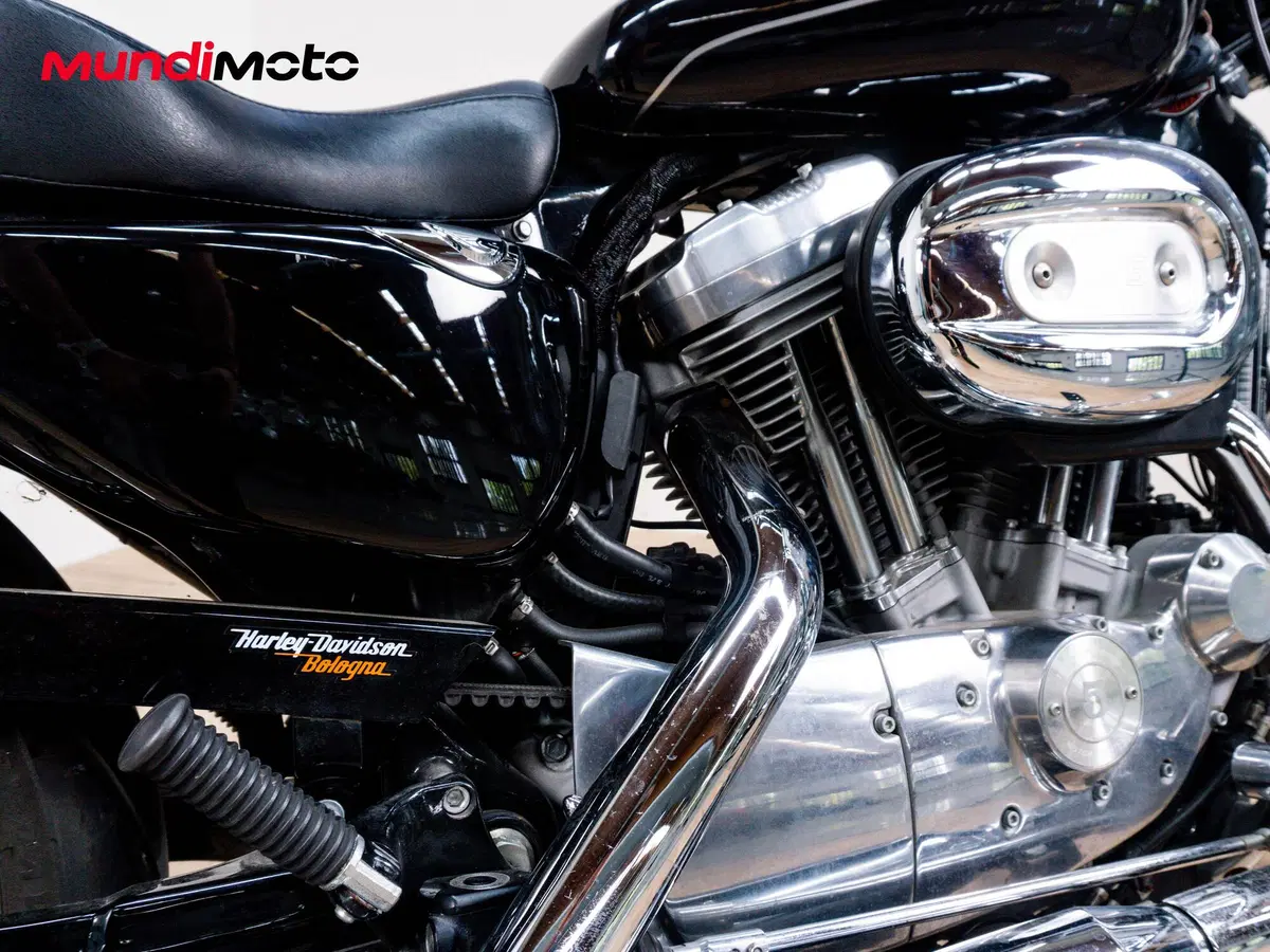 Harley-Davidson 883 Low (2005) - XL 883L (4)