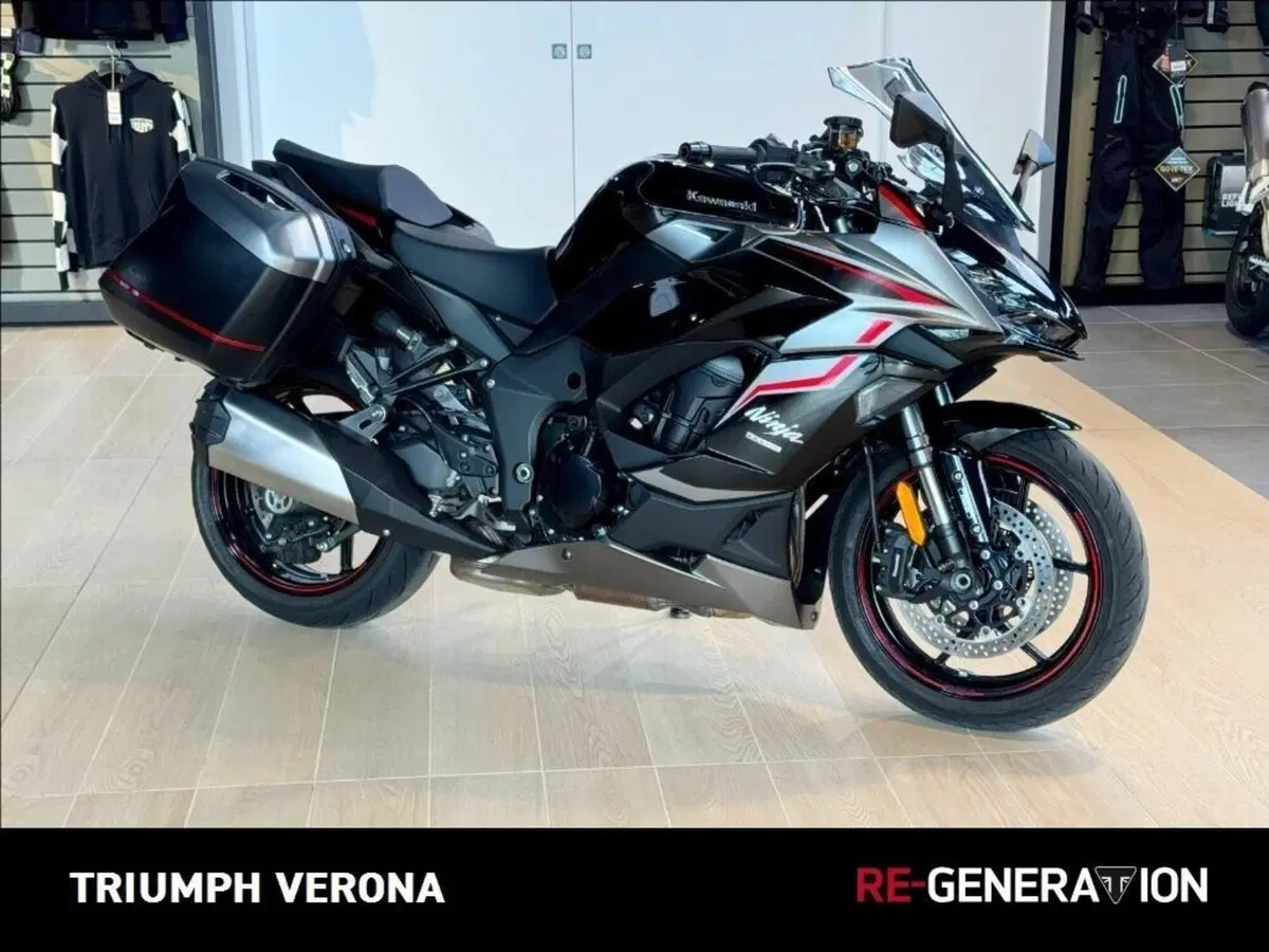 Kawasaki Ninja 1000 SX (2021 - 24)