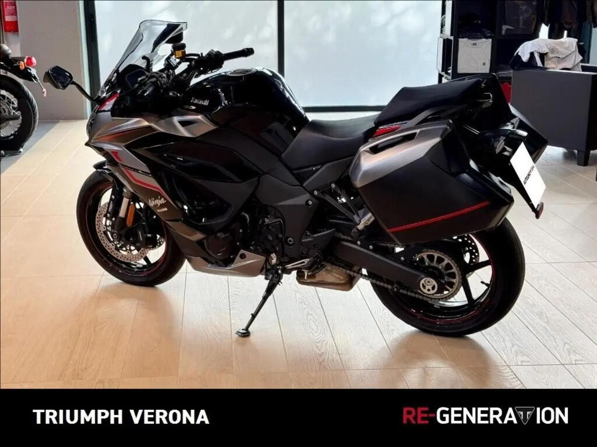 Kawasaki Ninja 1000 SX (2021 - 24) (3)