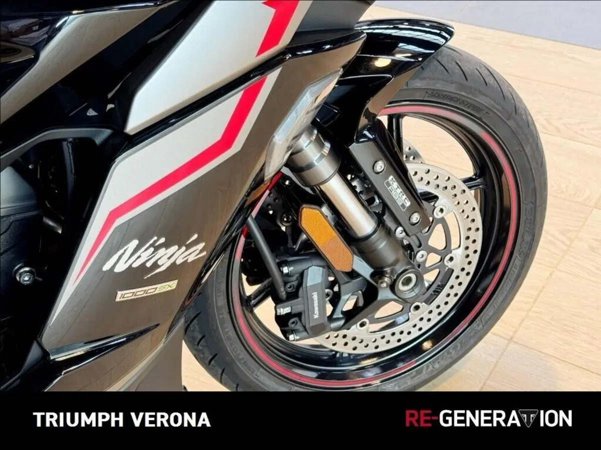 Kawasaki Ninja 1000 SX (2021 - 24) (9)