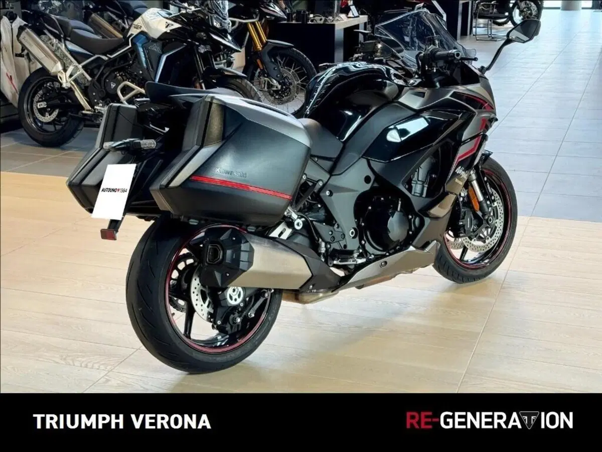 Kawasaki Ninja 1000 SX (2021 - 24) (2)